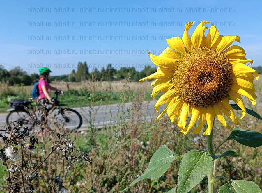 Фото: Я на велосипеде